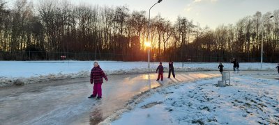 afbeelding van 