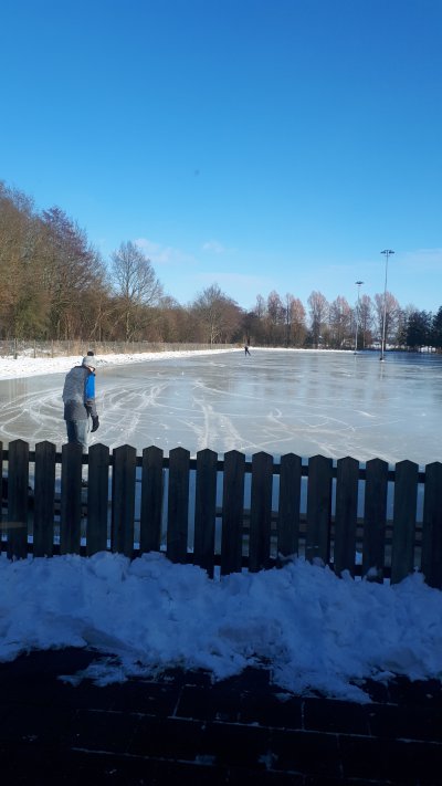 afbeelding van 