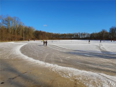 afbeelding van 