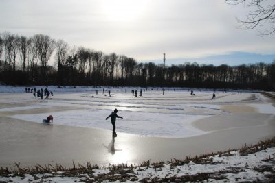 afbeelding van 
