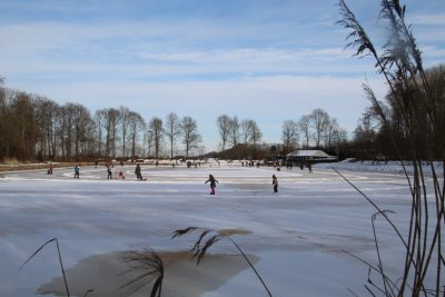 afbeelding van 