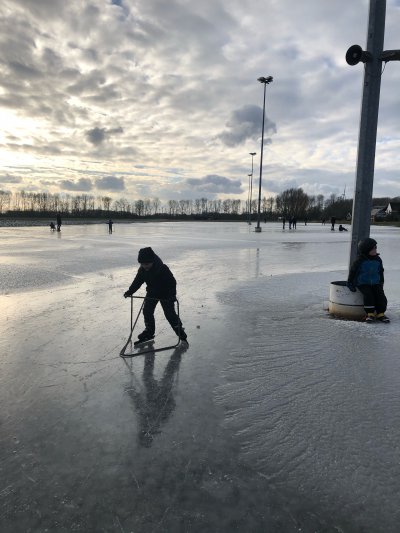 afbeelding van 
