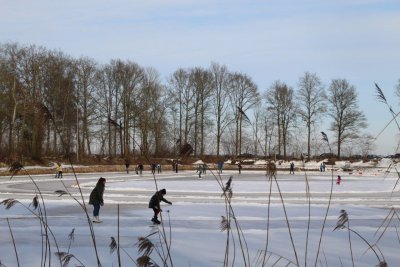 afbeelding van 