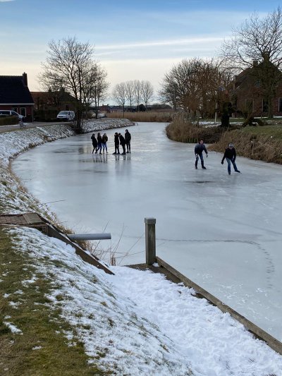 afbeelding van 