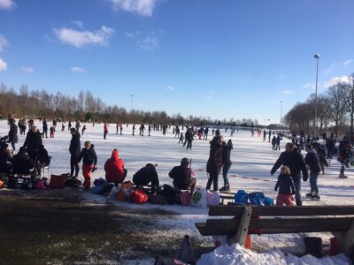 afbeelding van 