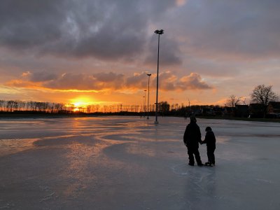 afbeelding van 