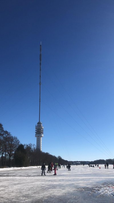 afbeelding van 